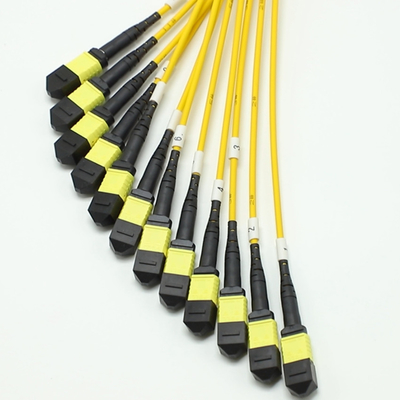 Χαμηλή απώλεια MPO Fanout Cable Μεγάλη ποσότητα πυρήνα 1M 144F SMG657A1 MPO APC σε MPO APC Breakout Fiber Optic Patch Cord