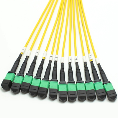 Χαμηλή απώλεια MPO Fanout Cable Μεγάλη ποσότητα πυρήνα 1M 144F SMG657A1 MPO APC σε MPO APC Breakout Fiber Optic Patch Cord