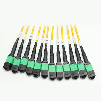 Χαμηλή απώλεια MPO Fanout Cable Μεγάλη ποσότητα πυρήνα 1M 144F SMG657A1 MPO APC σε MPO APC Breakout Fiber Optic Patch Cord