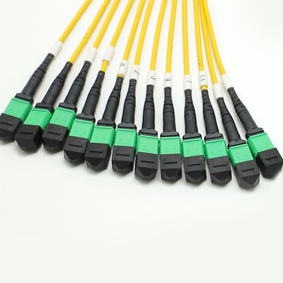 144F MTP MPO Fanout Cable SMG657A1 MPO APC σε MPO APC Breakout Fiber Optic Patch Cord